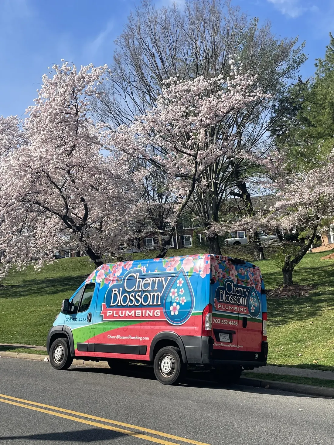 Cherry Blossom Plumbing van parked under blooming cherry trees